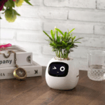 ivy-smart-plant-pot-evolved-chargers_7