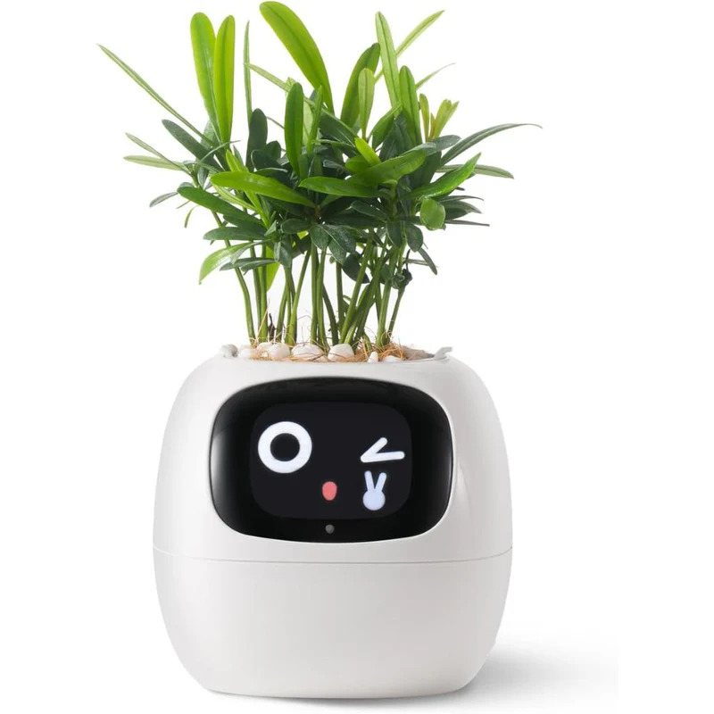 PlantBuddy Smart Pot
