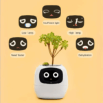 ivy-smart-plant-pot-evolved-chargers_7