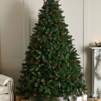 2.1M (7ft) Ben Nevis Pine Christmas Tree
