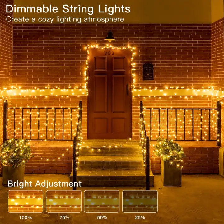 dimmiable_string_lights