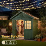 fairy_lights_christmas_lights